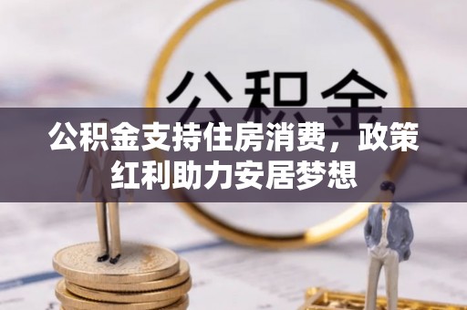 仑背公积金支持住房消费，政策红利助力安居梦想