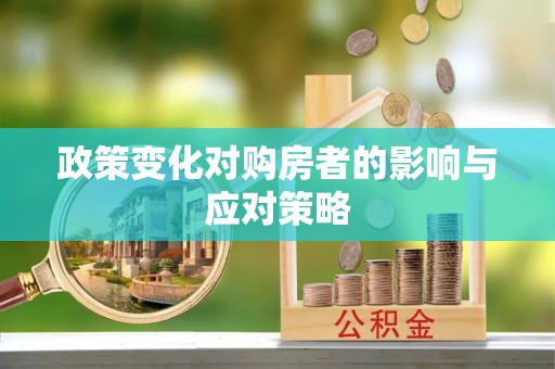仑背政策变化对购房者的影响与应对策略