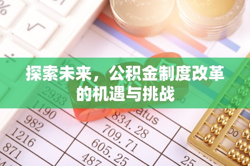 仑背探索未来，公积金制度改革的机遇与挑战