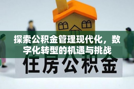 仑背探索公积金管理现代化，数字化转型的机遇与挑战