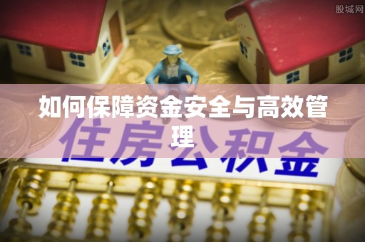 仑背如何保障资金安全与高效管理