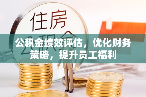仑背公积金绩效评估，优化财务策略，提升员工福利
