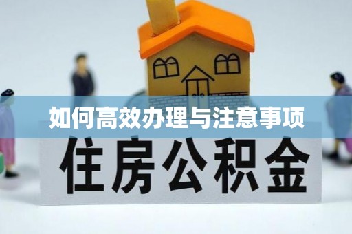仑背如何高效办理与注意事项
