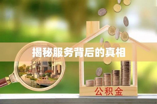 仑背揭秘服务背后的真相