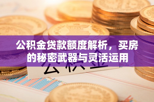 仑背公积金贷款额度解析，买房的秘密武器与灵活运用
