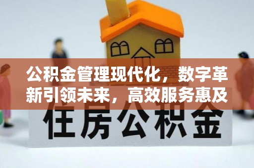 仑背公积金管理现代化，数字革新引领未来，高效服务惠及民生