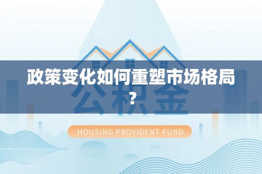 仑背政策变化如何重塑市场格局？