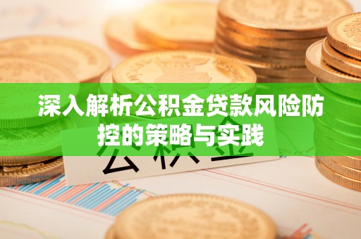 仑背深入解析公积金贷款风险防控的策略与实践