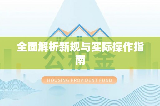 仑背全面解析新规与实际操作指南