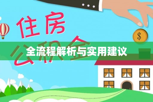 仑背全流程解析与实用建议