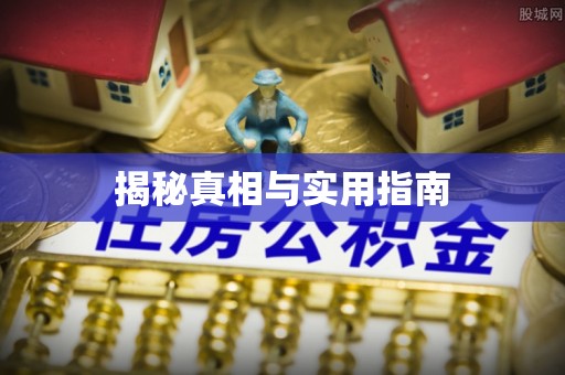 仑背揭秘真相与实用指南