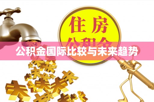 仑背公积金国际比较与未来趋势