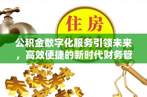 仑背公积金数字化服务引领未来，高效便捷的新时代财务管理