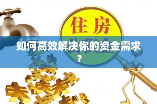 仑背如何高效解决你的资金需求？