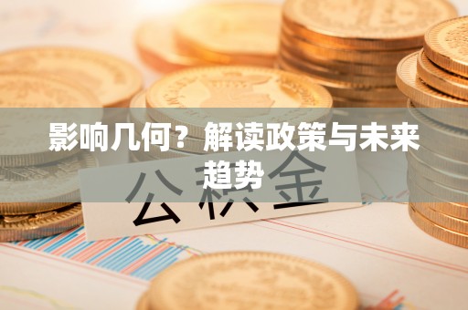 仑背影响几何？解读政策与未来趋势