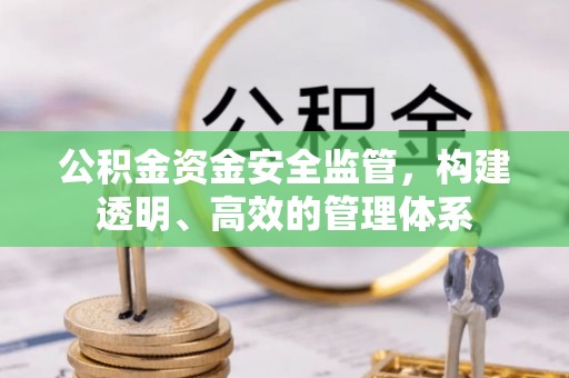 仑背公积金资金安全监管，构建透明、高效的管理体系