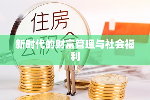 仑背新时代的财富管理与社会福利