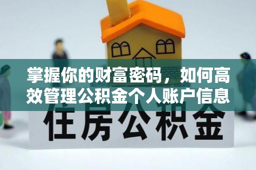 仑背掌握你的财富密码，如何高效管理公积金个人账户信息