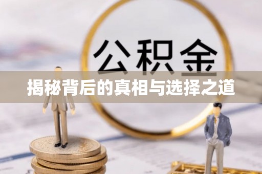 仑背揭秘背后的真相与选择之道