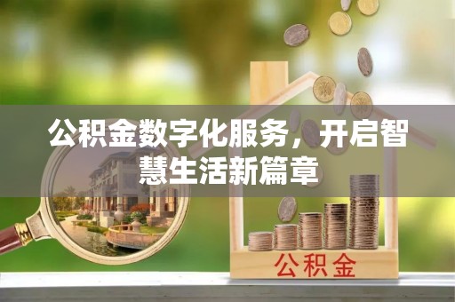 仑背公积金数字化服务，开启智慧生活新篇章