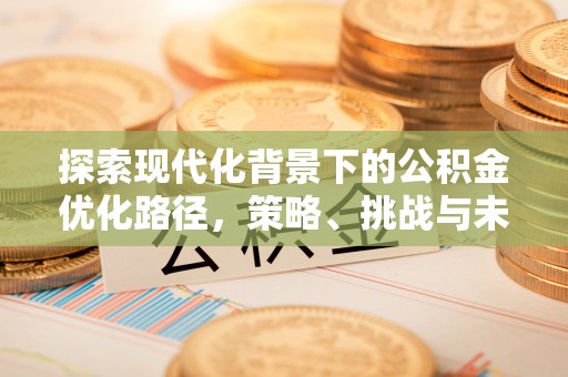 仑背探索现代化背景下的公积金优化路径，策略、挑战与未来展望