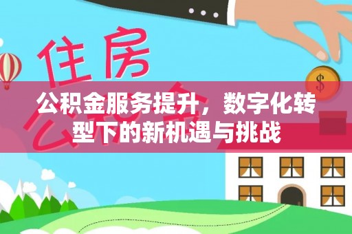 仑背公积金服务提升，数字化转型下的新机遇与挑战