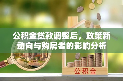 仑背公积金贷款调整后，政策新动向与购房者的影响分析