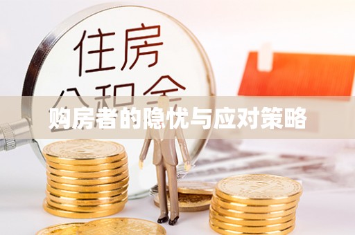 仑背购房者的隐忧与应对策略
