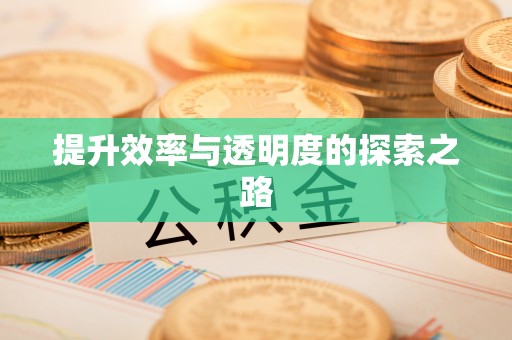 仑背提升效率与透明度的探索之路