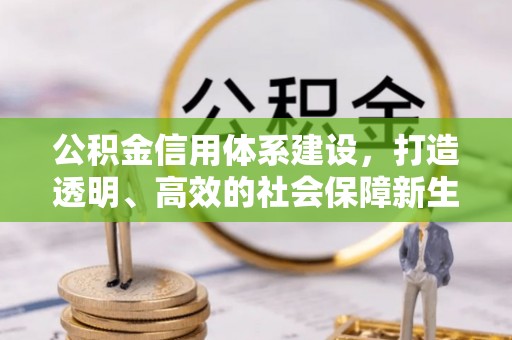仑背公积金信用体系建设，打造透明、高效的社会保障新生态