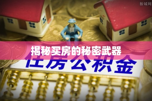 仑背揭秘买房的秘密武器