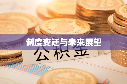 仑背制度变迁与未来展望