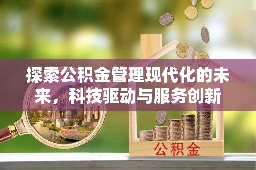仑背探索公积金管理现代化的未来，科技驱动与服务创新