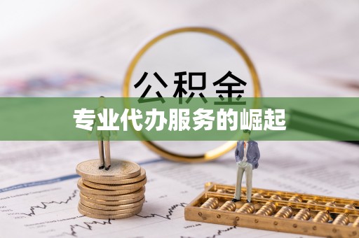 仑背专业代办服务的崛起