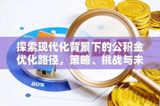 仑背探索现代化背景下的公积金优化路径，策略、挑战与未来展望