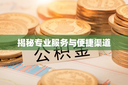仑背揭秘专业服务与便捷渠道