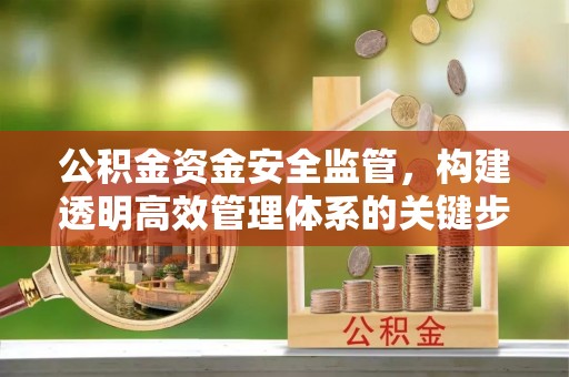仑背公积金资金安全监管，构建透明高效管理体系的关键步骤