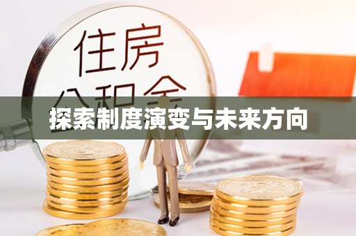 仑背探索制度演变与未来方向