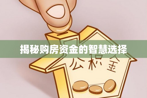 仑背揭秘购房资金的智慧选择