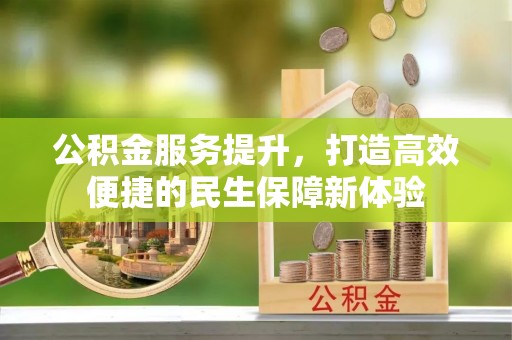 仑背公积金服务提升，打造高效便捷的民生保障新体验