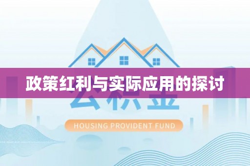 仑背政策红利与实际应用的探讨