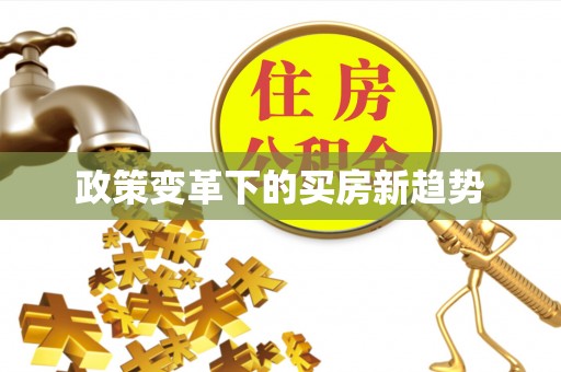 仑背政策变革下的买房新趋势