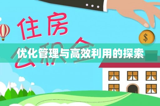 仑背优化管理与高效利用的探索