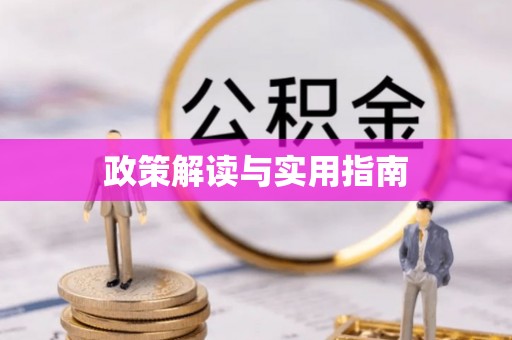 仑背政策解读与实用指南