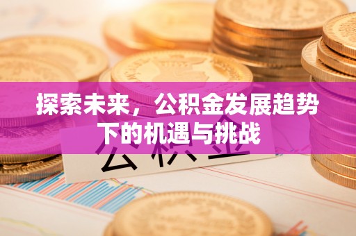 仑背探索未来，公积金发展趋势下的机遇与挑战
