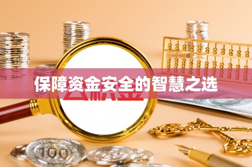 仑背保障资金安全的智慧之选