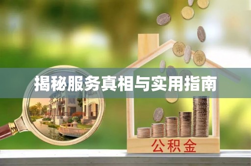 仑背揭秘服务真相与实用指南