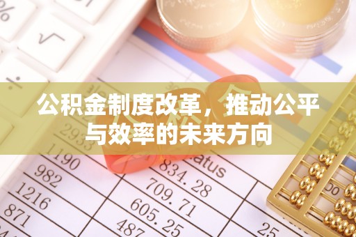 仑背公积金制度改革，推动公平与效率的未来方向