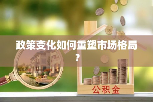 仑背政策变化如何重塑市场格局？