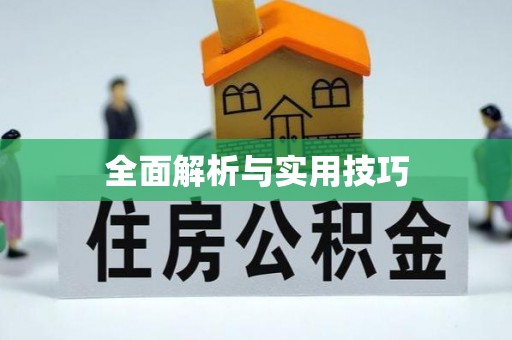 仑背全面解析与实用技巧